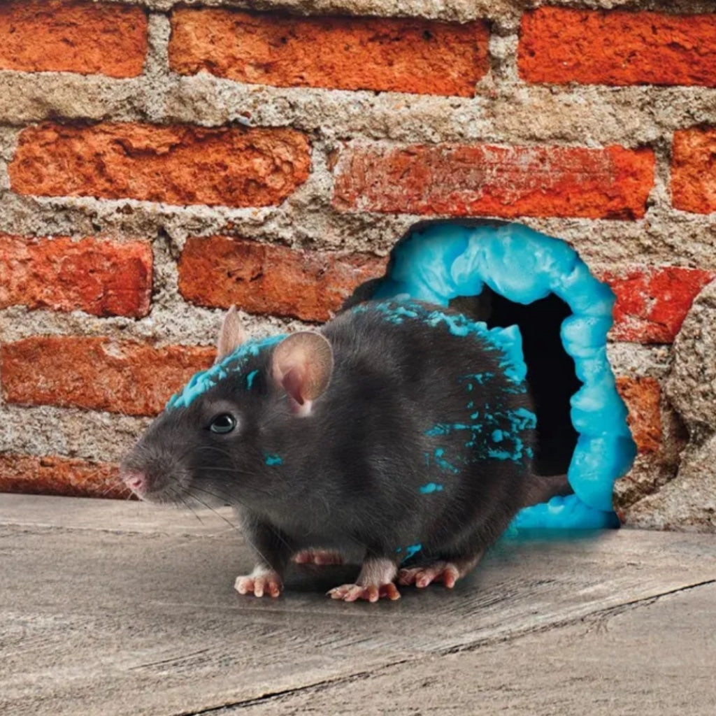 RACUMIN® FOAM 500ML - USAGE PROFESSIONNEL